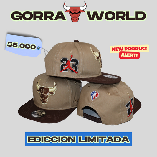 Gorra BULLS - JORDAN – Edición Limitada